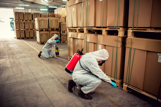 Best Pest Prevention Services  in Kenner, LA