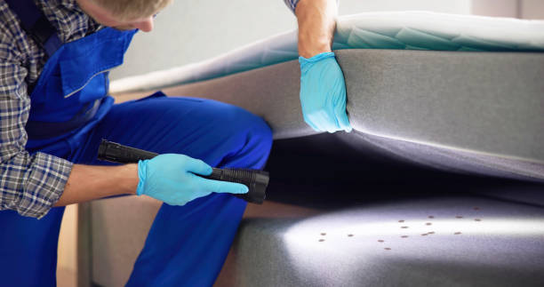 Best Affordable Pest Control Services  in Kenner, LA